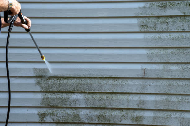 Best Attic Cleanout  in Rock Hill, MO